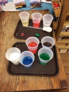 Science Experiment on Density | Providence Montessori