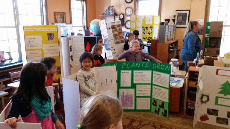 Science Fair  – WOW